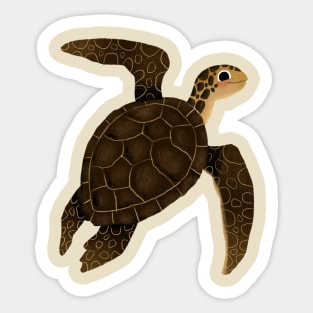 Turtle Sticker